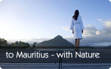 Mauritius Luxury Solo Holiday Destination