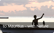 Mauritius Luxury Solo Holiday Destination